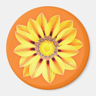 African Daisy / Gazania - Orange and Yellow Magnet