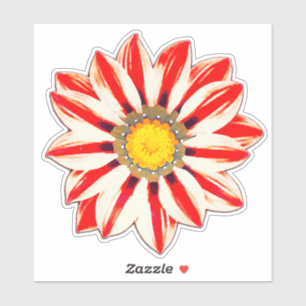 African Daisy / Gazania Red and White Striped
