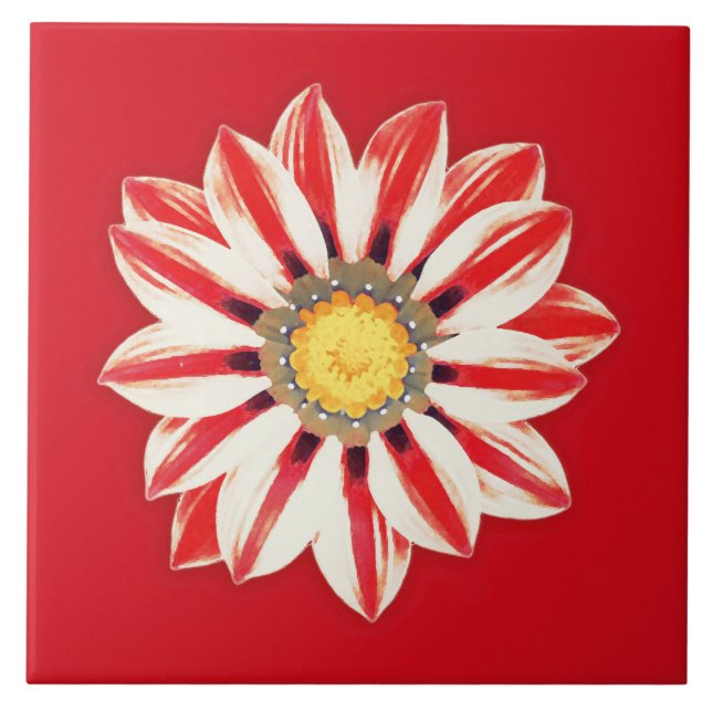 African Daisy / Gazania - Red and White Striped Tile (Front)