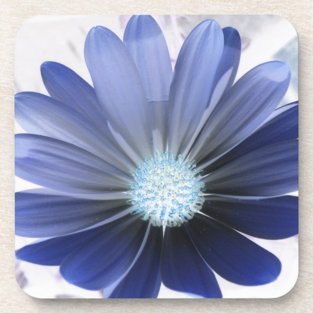 African Daisy Glowing Blue Cork Coaster (Front)