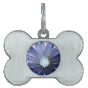 African Daisy Glowing Blue Pet Tag