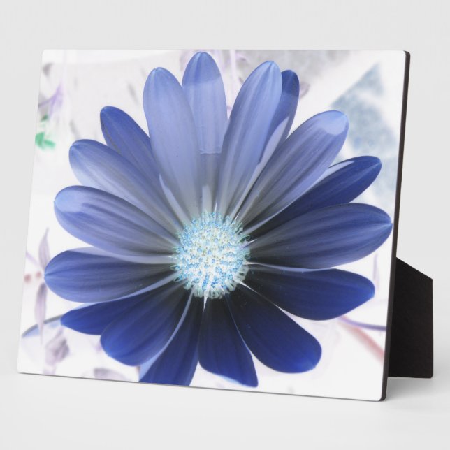 African Daisy Glowing Blue Plaque (Side)