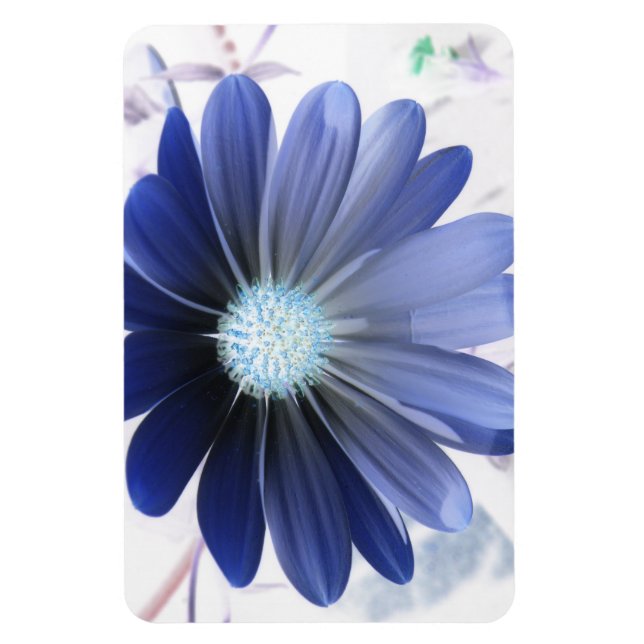 African Daisy Glowing Blue Premium Magnet (Vertical)