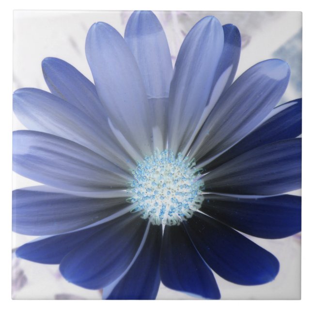 African Daisy Glowing Blue Tile (Front)