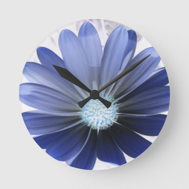African Daisy Glowing Blue Wall Clock (Front)