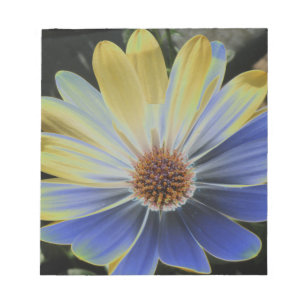 African Daisy Lapis and Gold Notepad