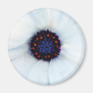 African Daisy Magnet