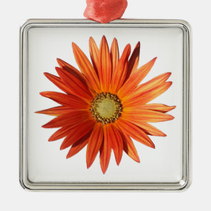 African Daisy Metal Tree Decoration