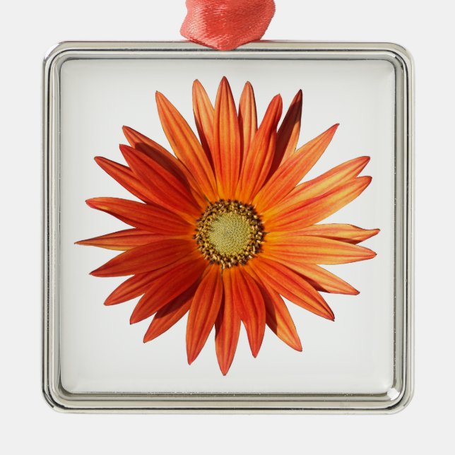 African Daisy Metal Tree Decoration (Front)