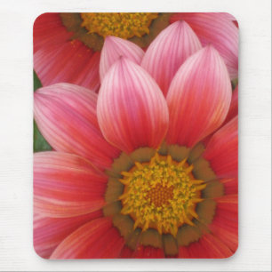 African Daisy Mouse Mat