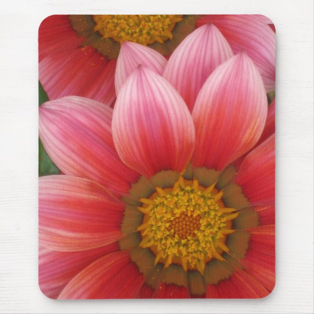 African Daisy Mouse Mat (Front)