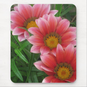 African Daisy Mouse Mat