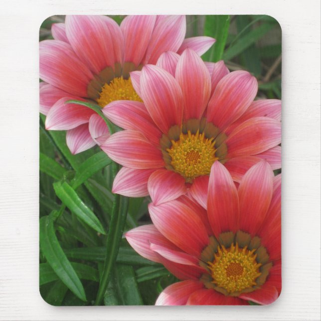 African Daisy Mouse Mat (Front)