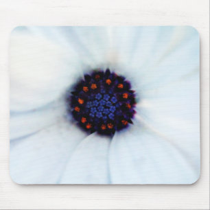 African daisy mouse mat