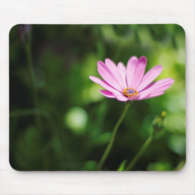 African daisy mouse mat (Front)