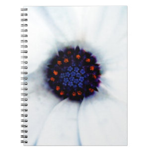 African Daisy Notebook