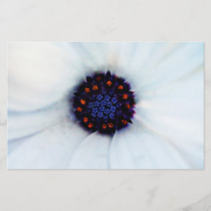 African Daisy Stationery