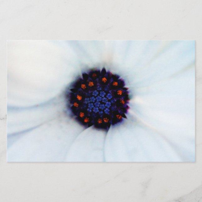 African Daisy Stationery (Front)