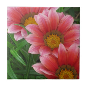 African Daisy Tile