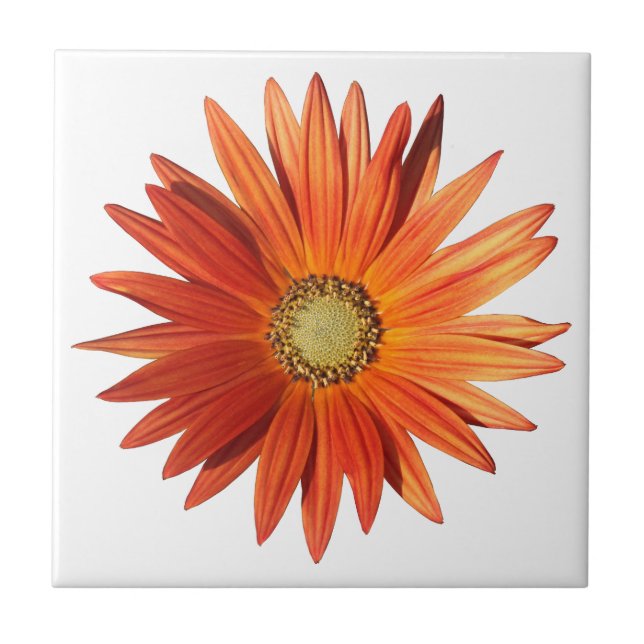 African Daisy Tile (Front)