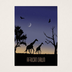 African dawn - giraffes