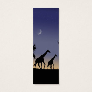 African dawn - giraffes