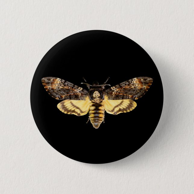 african death head moth butterfly insect Acheronti 6 Cm Round Badge (Front)