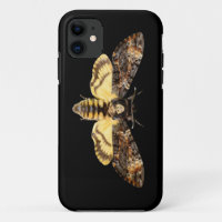 african death head moth butterfly insect Acheronti