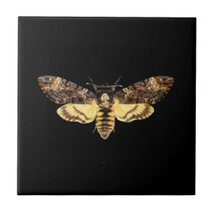 african death head moth butterfly insect Acheronti Tile