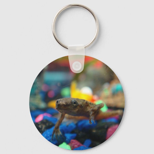 African Dwarf Frog Key Ring (Front)