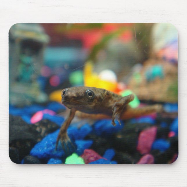 African Dwarf Frog Mouse Mat (Front)