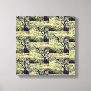 African Eagle Canvas Print