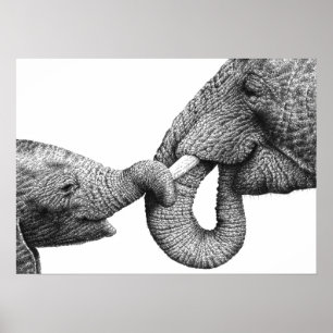 African Elephant and Calf Poster