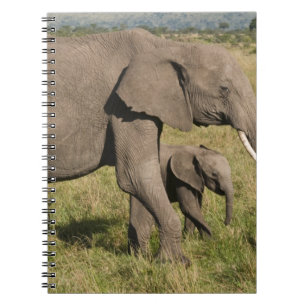African Elephant and cub (Loxodonta africana), Notebook