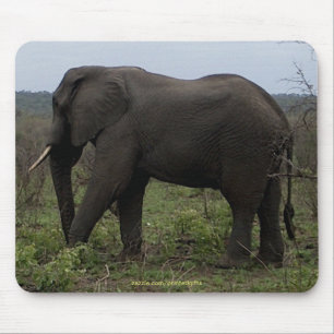 African Elephant Big Five Animal Mousepad
