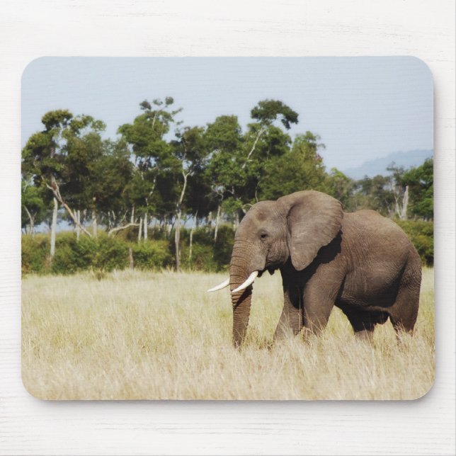 African elephant bull mouse mat (Front)