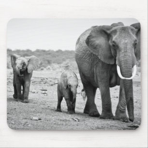 African Elephant & Calves Kenya, Africa Mouse Mat