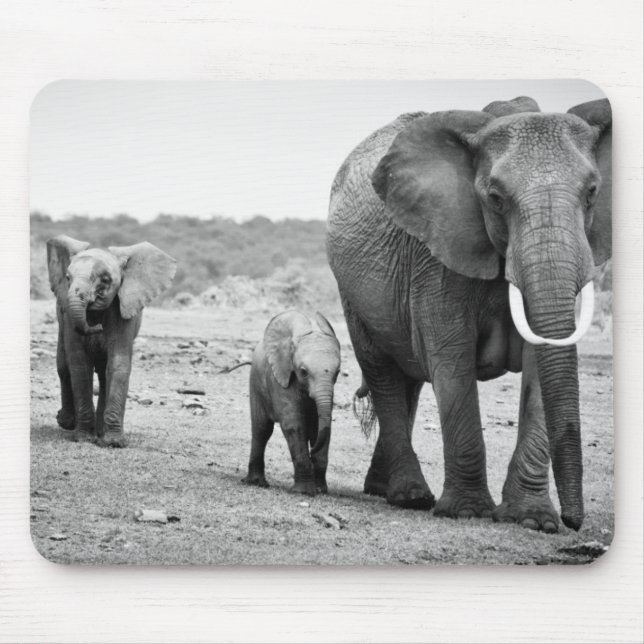 African Elephant & Calves | Kenya, Africa Mouse Mat (Front)