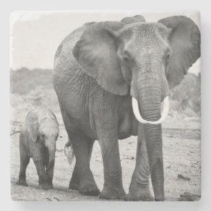 African Elephant & Calves Kenya, Africa Stone Coaster