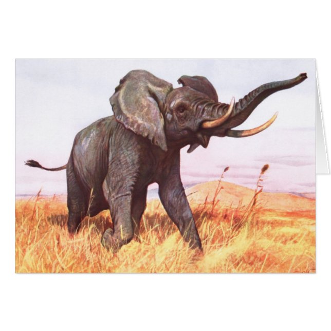 African elephant Card (Front Horizontal)