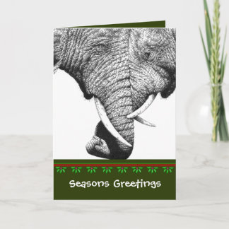 African Elephant Christmas Card