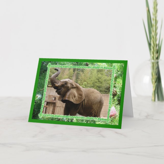 African Elephant Christmas Greeting Card (Front)