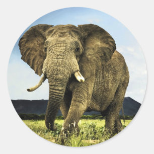 african-elephant classic round sticker