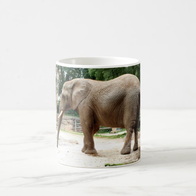 African elephant coffee mug (Center)