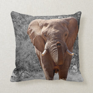 African Elephant Cushion