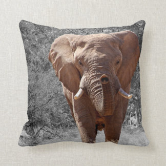 African Elephant Cushion