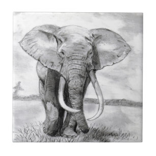 african elephant drawing in pencil design tile