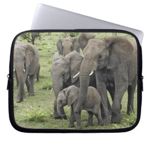 African Elephant herd, Loxodonta africana, 2 Laptop Sleeve