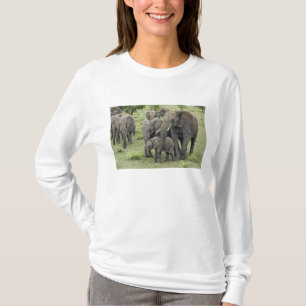 African Elephant herd, Loxodonta africana, 2 T-Shirt