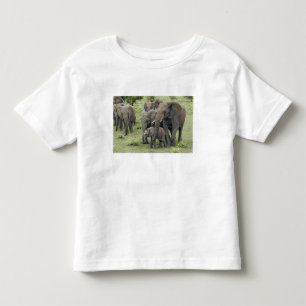 African Elephant herd, Loxodonta africana, 2 Toddler T-Shirt